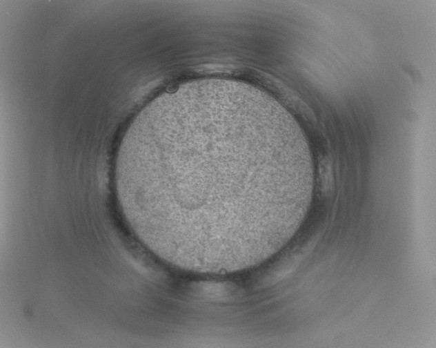 X0000115310255200911231335