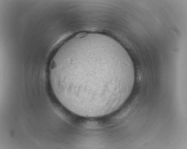 X0000115310256200911231335