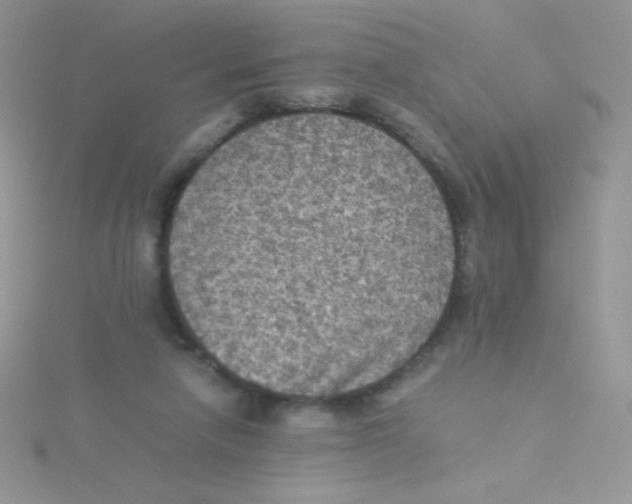 X0000115310258200911231335