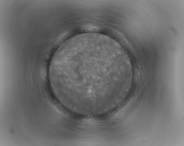 X0000115310259200911231335