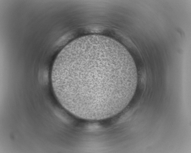 X0000115310262200911231336