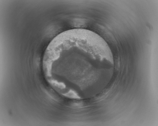 X0000115310263200911231336