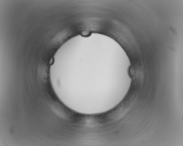 X0000115310264200911231336