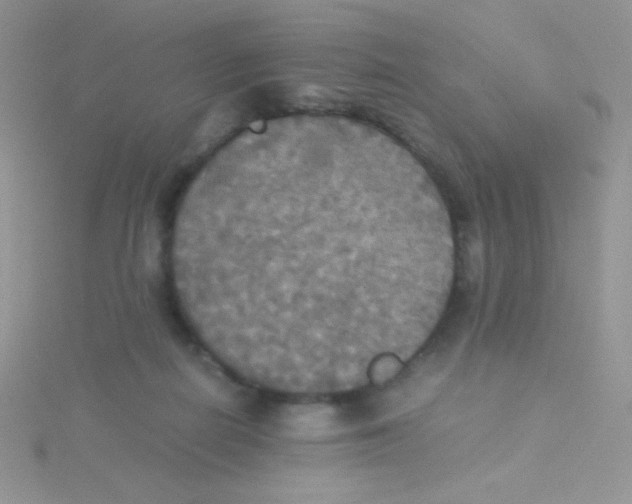 X0000115310266200911231336