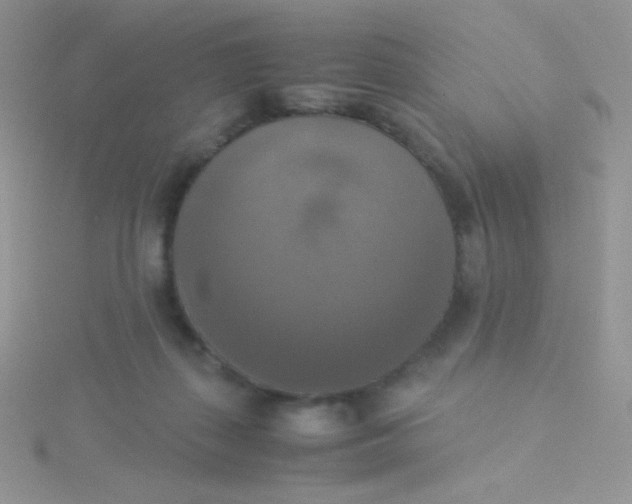 X0000115310267200911231336