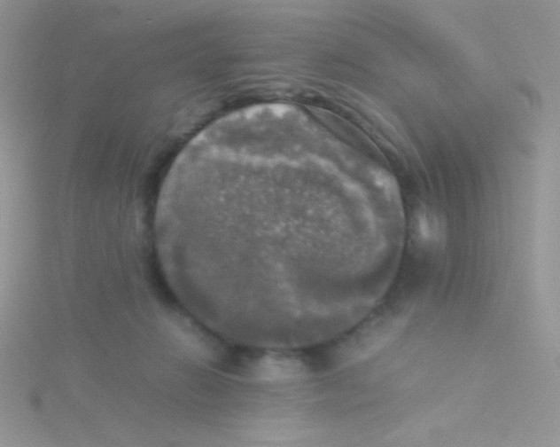 X0000115310270200911231336