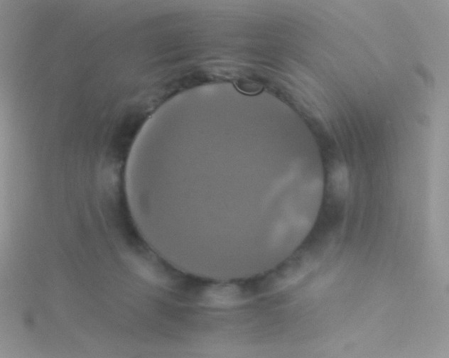 X0000115310271200911231336