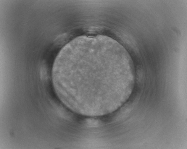 X0000115310272200911231336