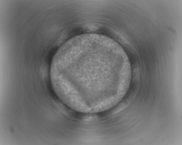 X0000115310274200911231336