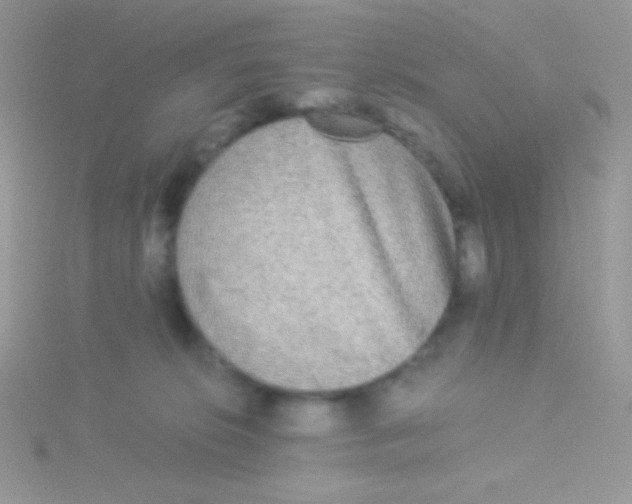 X0000115310276200911231336