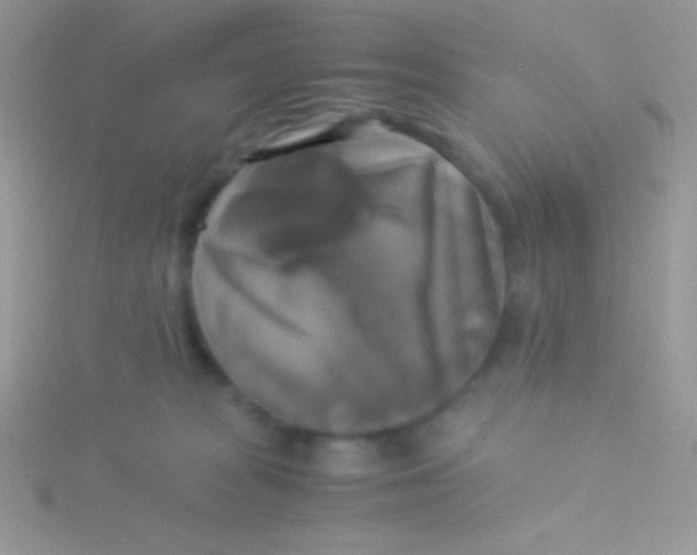 X0000115310277200911231336