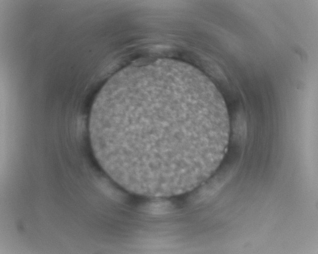 X0000115310278200911231336