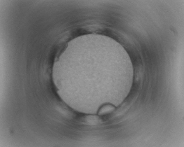 X0000115310279200911231336