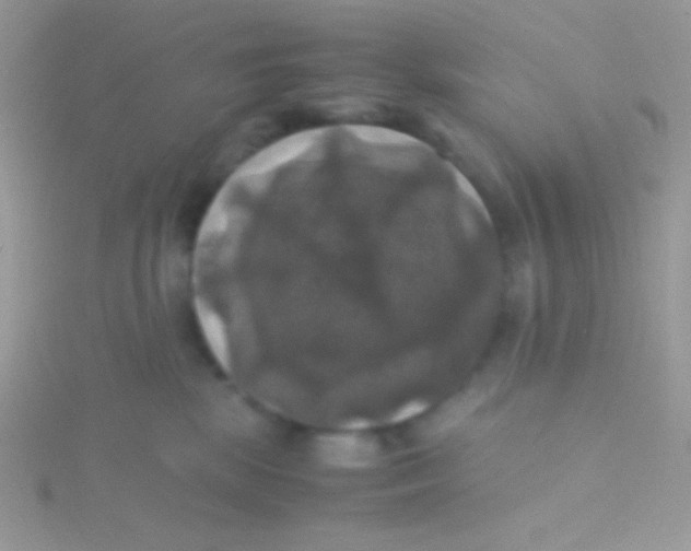 X0000115310281200911231336