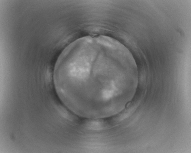 X0000115310282200911231336