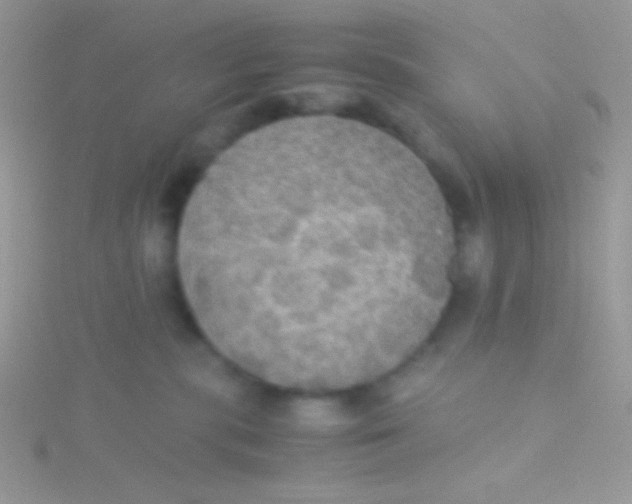 X0000115310283200911231336