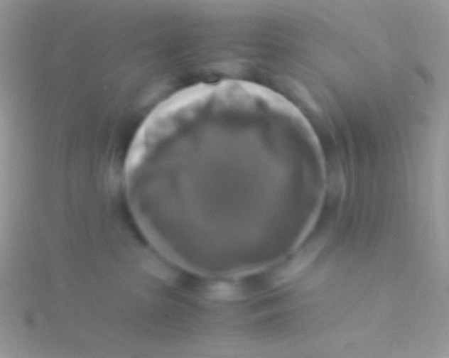 X0000115310285200911231336