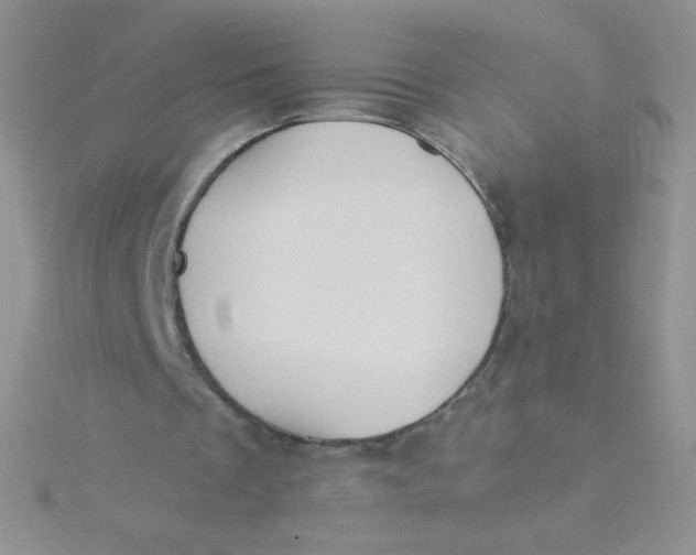 X0000115310289200911231335