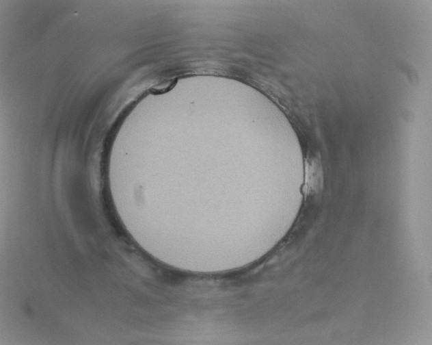 X0000115310291200911231335