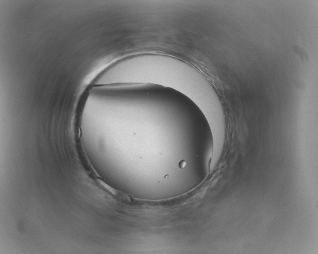 X0000115310292200911231335