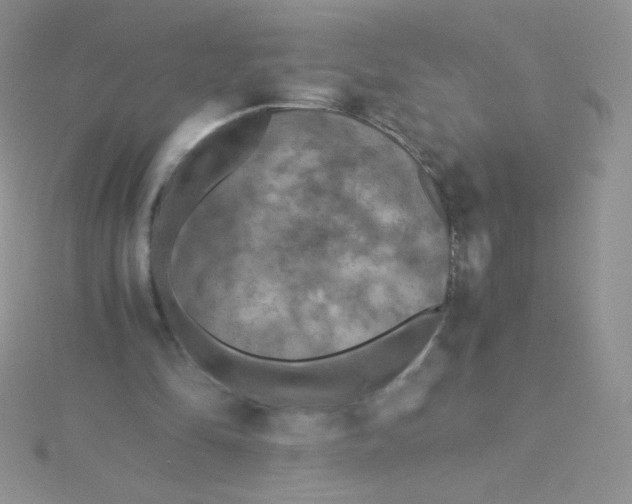 X0000115310294200911231335