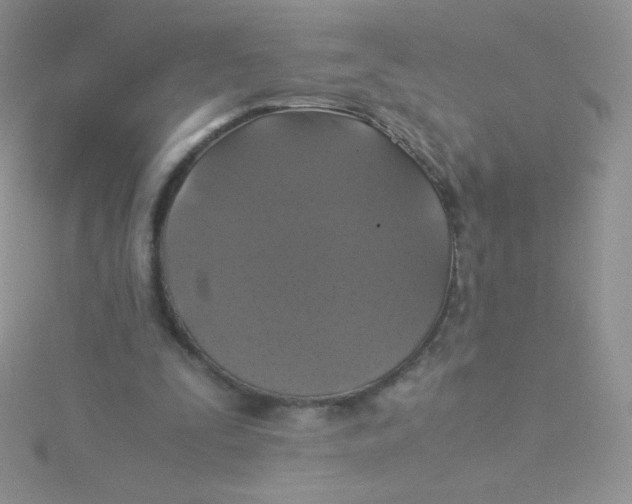 X0000115310295200911231335