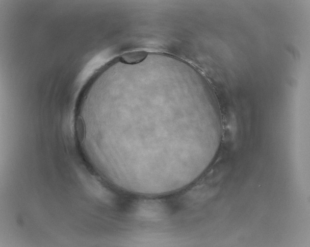 X0000115310296200911231335