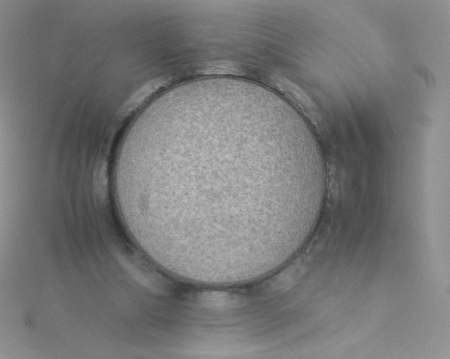 X0000115310298200911231335