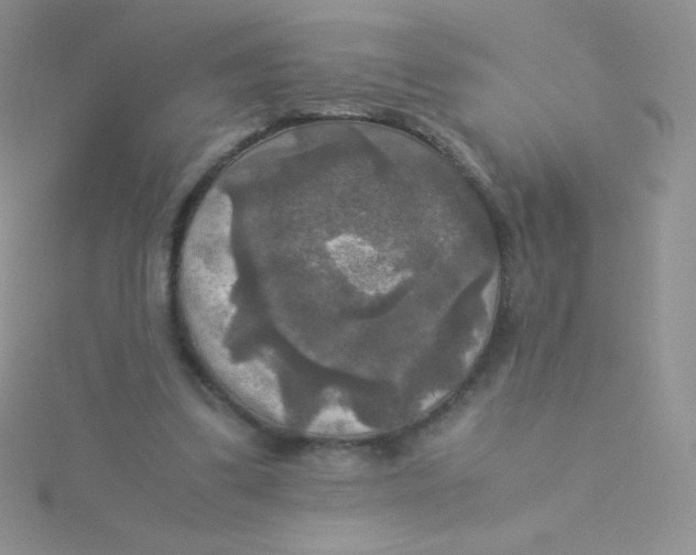 X0000115310299200911231335