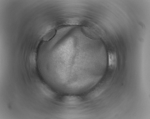 X0000115310300200911231335