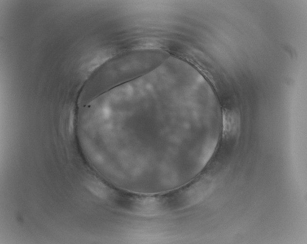 X0000115310301200911231335