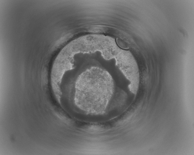 X0000115310303200911231335