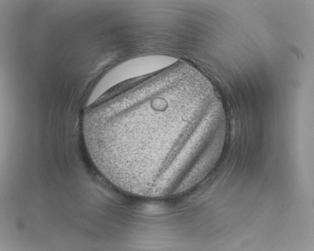 X0000115310308200911231335