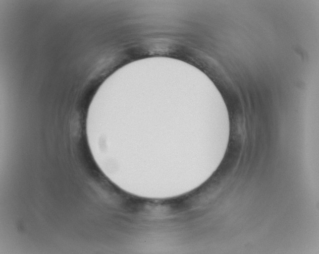 X0000115310311200911231335