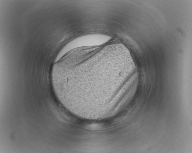 X0000115310312200911231335