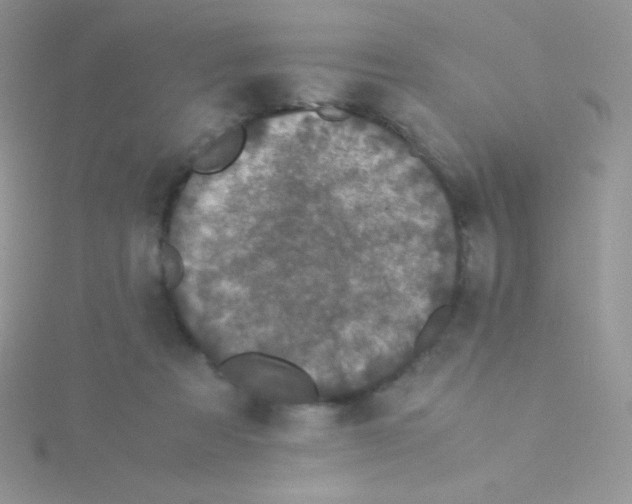 X0000115310313200911231335