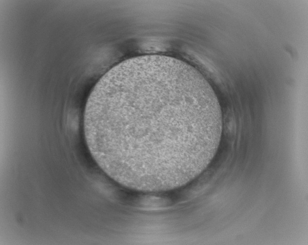 X0000115310315200911231335