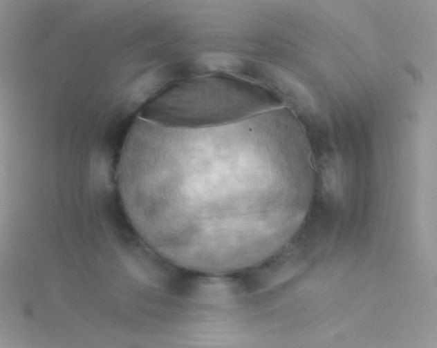 X0000115310316200911231335