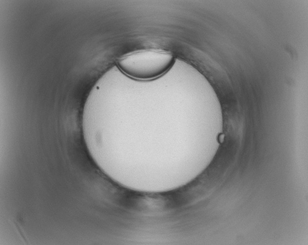 X0000115310317200911231335