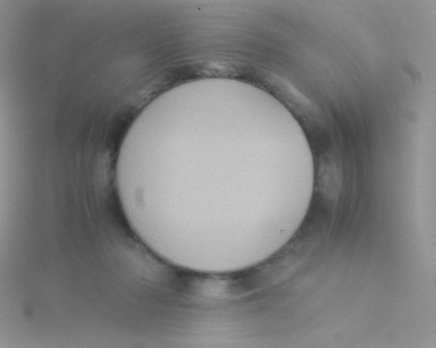 X0000115310318200911231335