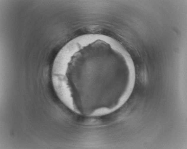 X0000115310319200911231335