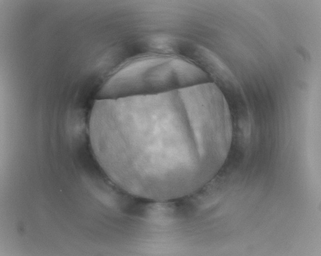 X0000115310320200911231335