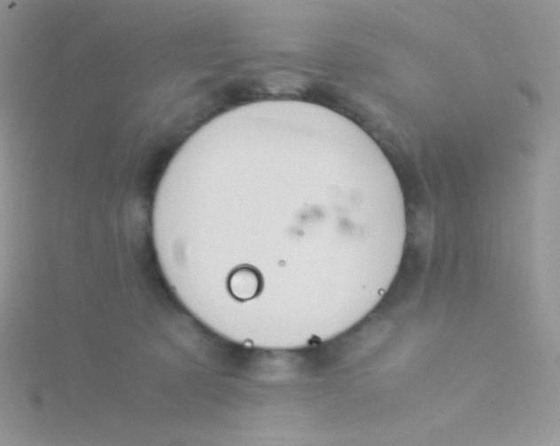 X0000115310321200911231335