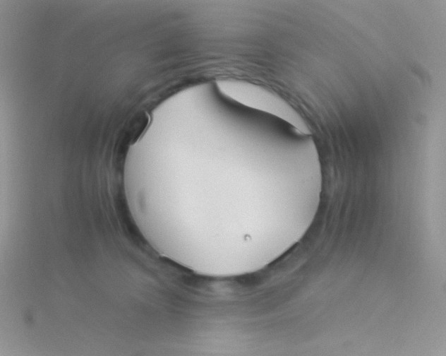 X0000115310324200911231335