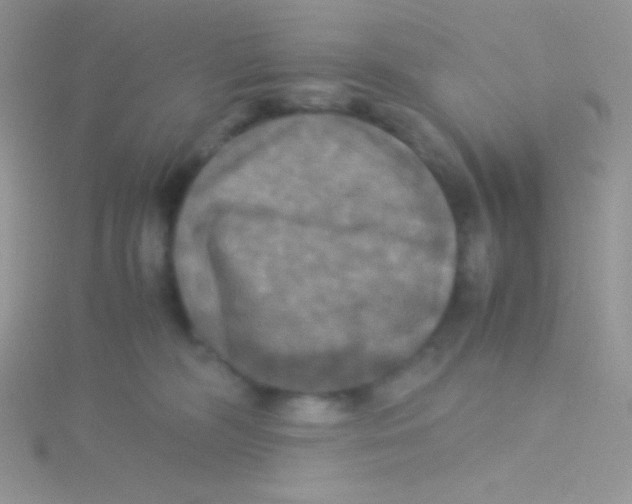 X0000115310326200911231335