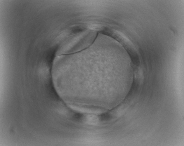 X0000115310327200911231335