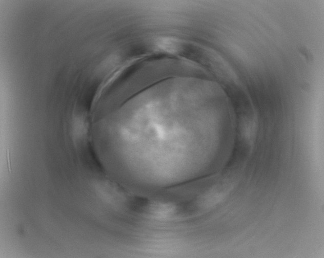 X0000115310328200911231335