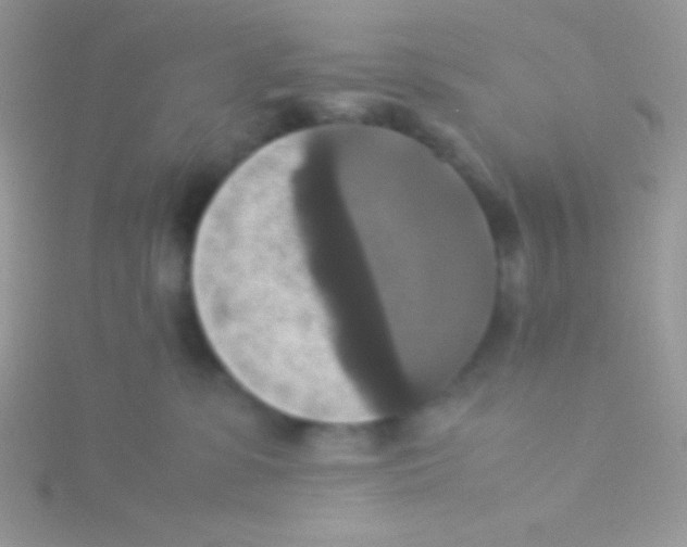 X0000115310331200911231335