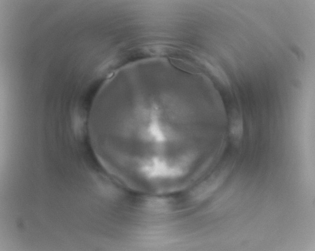 X0000115310332200911231335