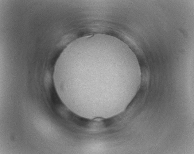 X0000115310333200911231335